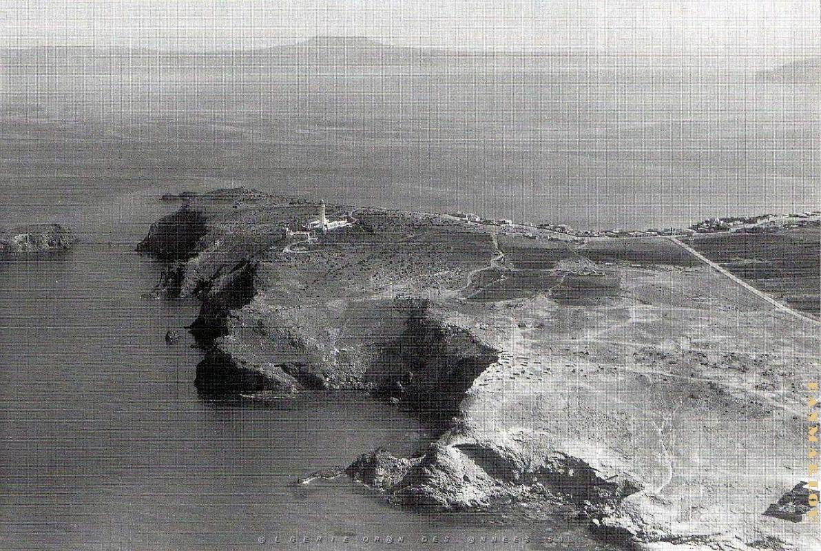 CAP FALCON PAR MONNERET   (1).JPG
